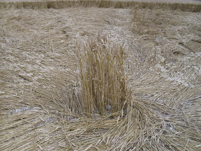 Stone Pit Hill, Wiltshire crop circle, aerial photo 35