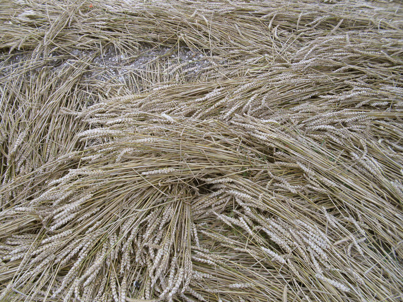 Stone Pit Hill, Wiltshire crop circle, aerial photo 34