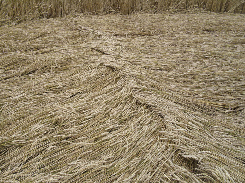 Stone Pit Hill, Wiltshire crop circle, aerial photo 33