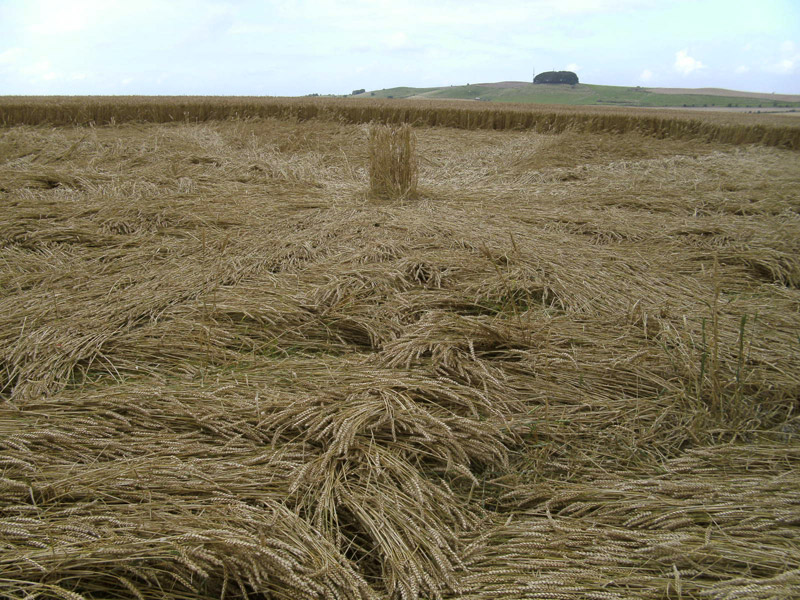 Stone Pit Hill, Wiltshire crop circle, aerial photo 32