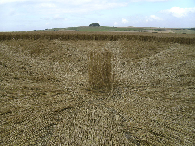 Stone Pit Hill, Wiltshire crop circle, aerial photo 31