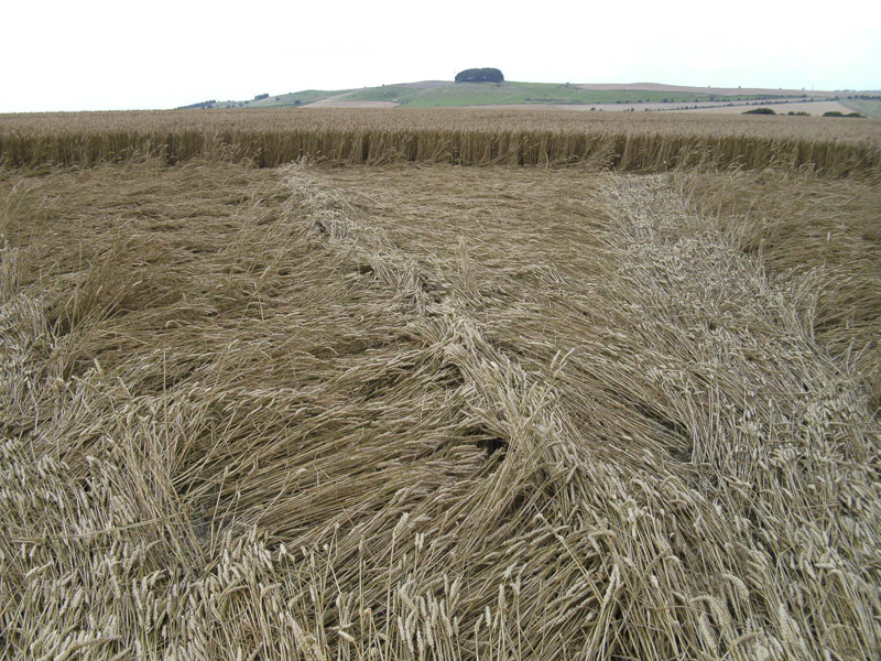 Stone Pit Hill, Wiltshire crop circle, aerial photo 29