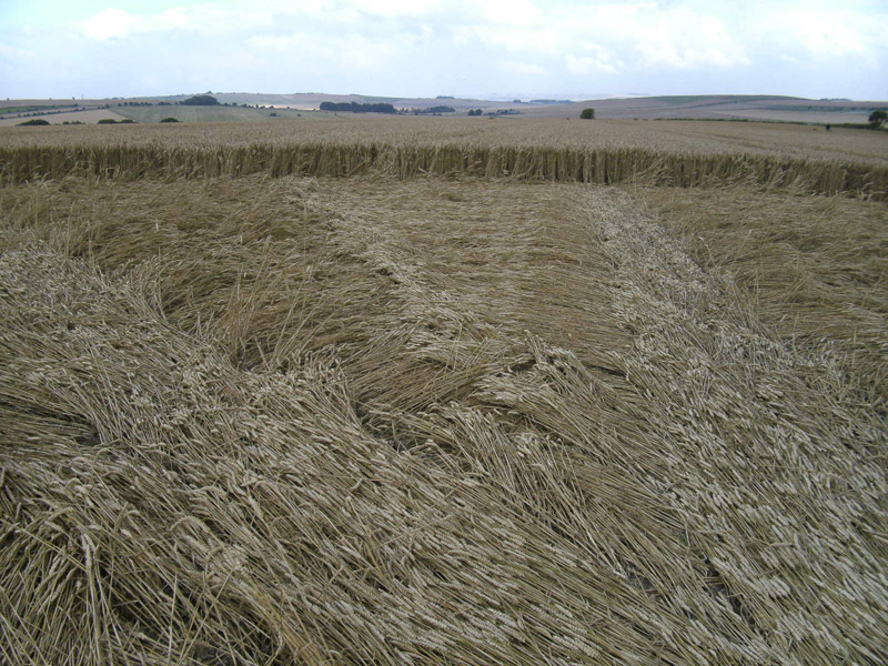 Stone Pit Hill, Wiltshire crop circle, aerial photo 36