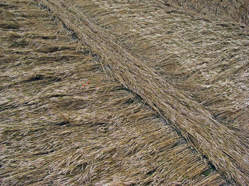 Stone Pit Hill, Wiltshire crop circle, aerial photo 23