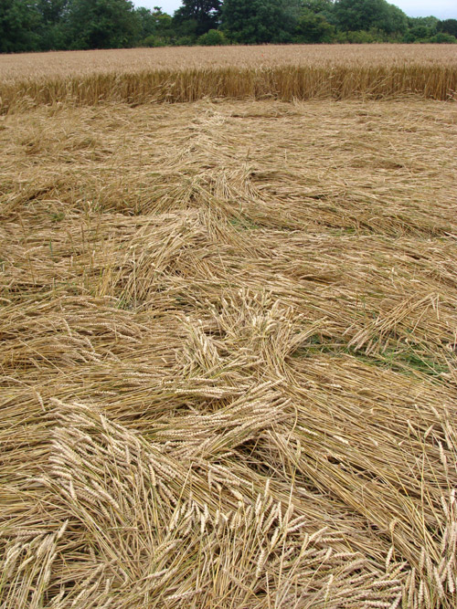 Stone Pit Hill, Wiltshire crop circle, aerial photo 27