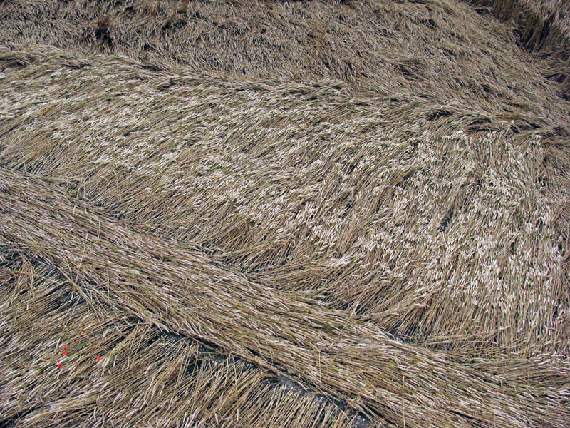 Stone Pit Hill, Wiltshire crop circle, aerial photo 24