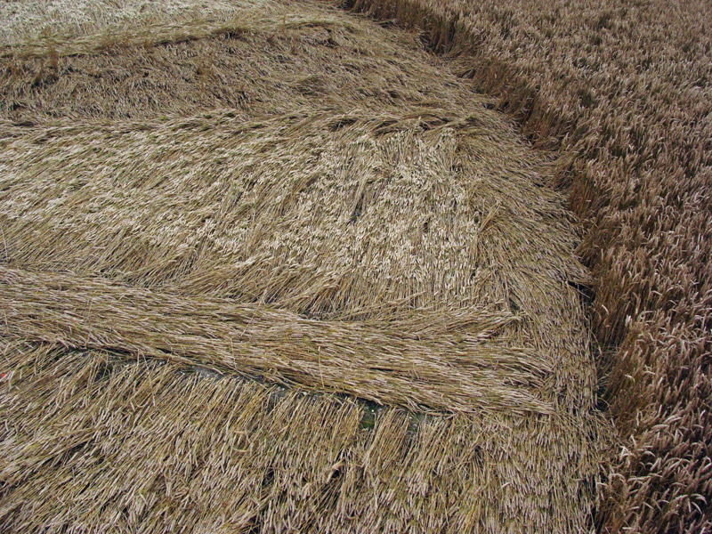 Stone Pit Hill, Wiltshire crop circle, aerial photo 25