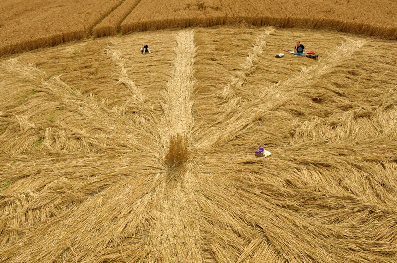 Stone Pit Hill, Wiltshire crop circle, aerial photo 16