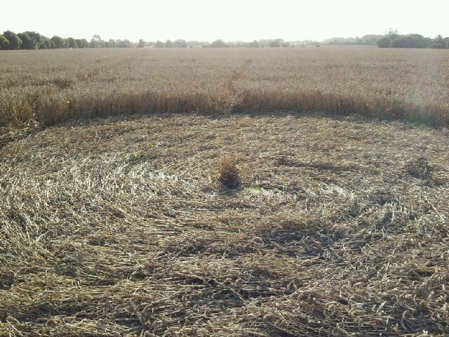Sutton Manor House, Essex crop circle, aerial photo 2