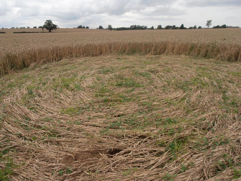 Tanners Bridge, Wiltshire crop circle, aerial photo 8