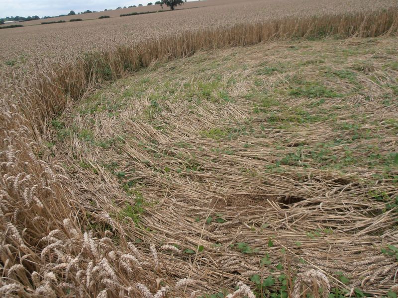Tanners Bridge, Wiltshire crop circle, aerial photo 9
