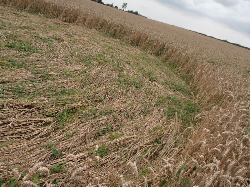 Tanners Bridge, Wiltshire crop circle, aerial photo 10