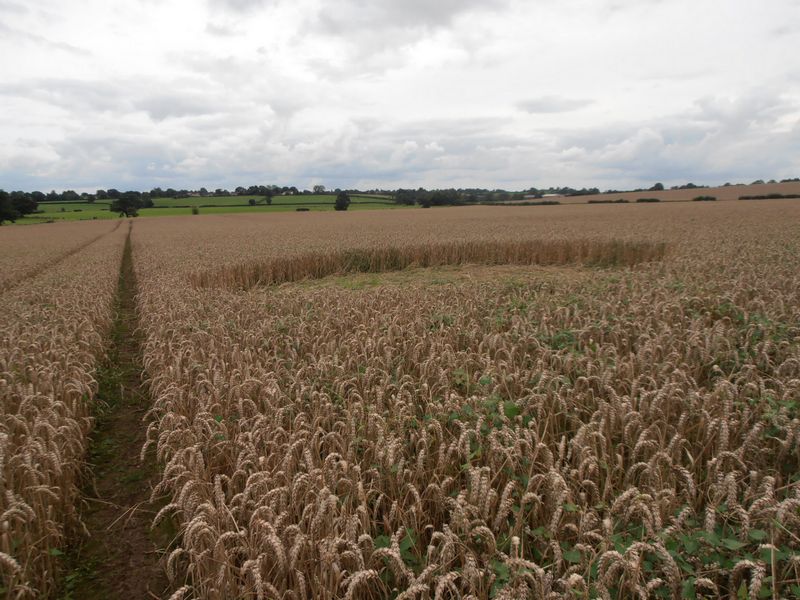 Tanners Bridge, Wiltshire crop circle, aerial photo 6