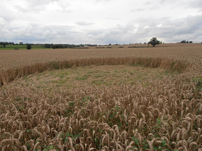 Tanners Bridge, Wiltshire crop circle, aerial photo 7