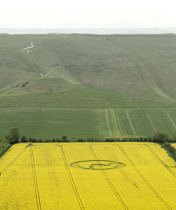 Uffington White Horse, Oxfordshire crop circle, aerial photo 7