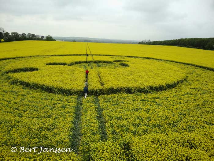 Uffington White Horse, Oxfordshire crop circle, aerial photo 13