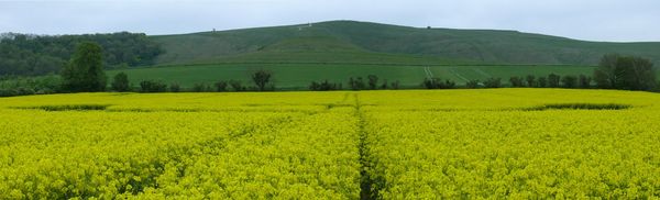 Uffington White Horse, Oxfordshire crop circle, aerial photo 48