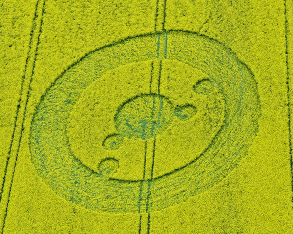 Uffington White Horse, Oxfordshire crop circle, aerial photo 8