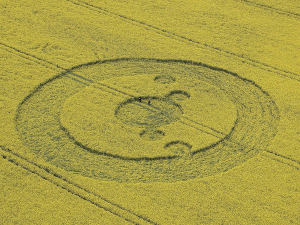 Uffington White Horse, Oxfordshire crop circle, aerial photo 4