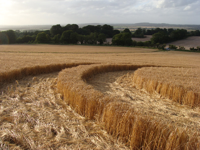 Uffington White Horse, Oxfordshire crop circle, aerial photo 22