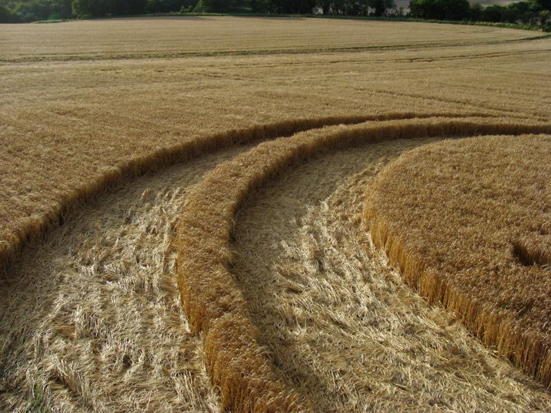 Uffington White Horse, Oxfordshire crop circle, aerial photo 21