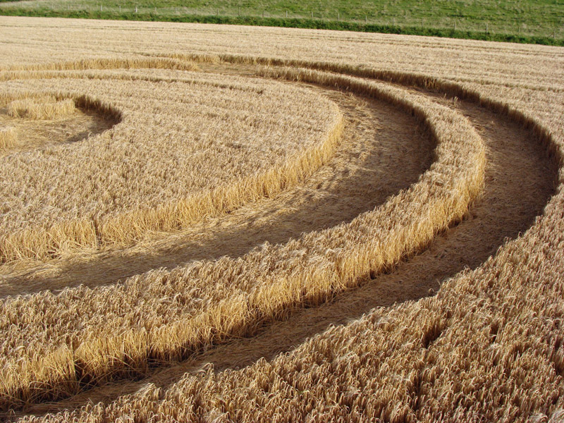 Uffington White Horse, Oxfordshire crop circle, aerial photo 20