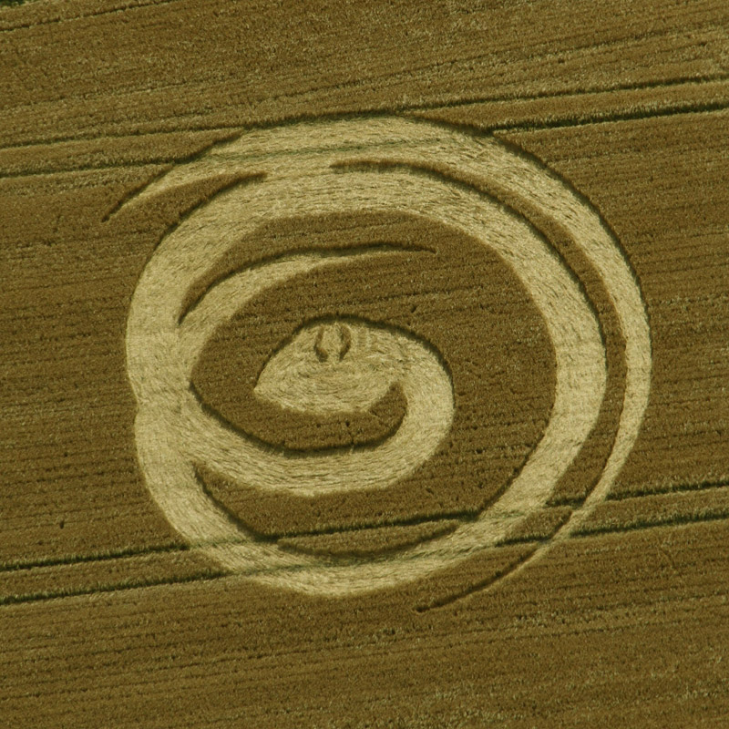 Uffington White Horse, Oxfordshire crop circle, aerial photo 5