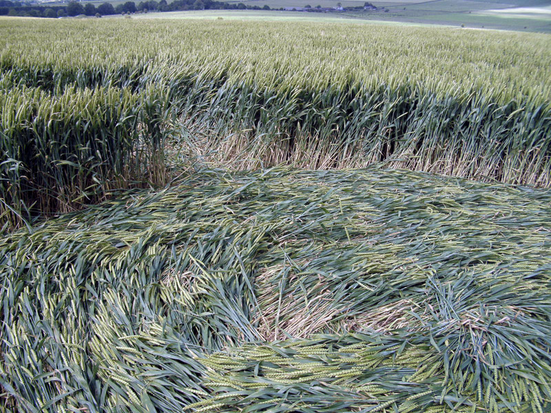 Waden Hill, Wiltshire crop circle, aerial photo 32