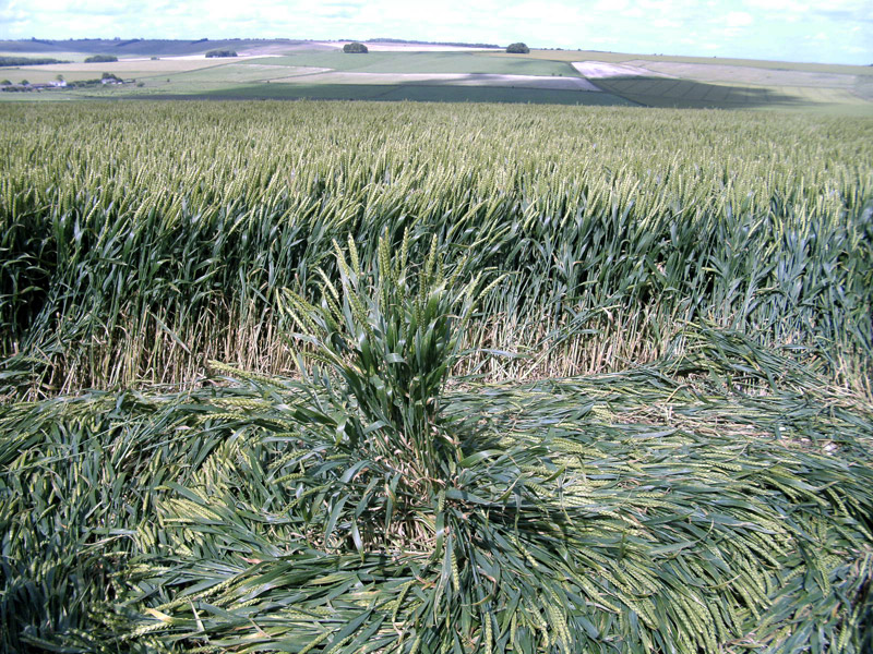 Waden Hill, Wiltshire crop circle, aerial photo 33