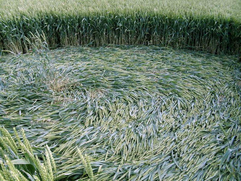 Waden Hill, Wiltshire crop circle, aerial photo 34