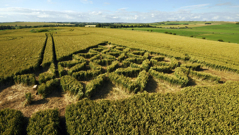 Waden Hill, Wiltshire crop circle, aerial photo 55