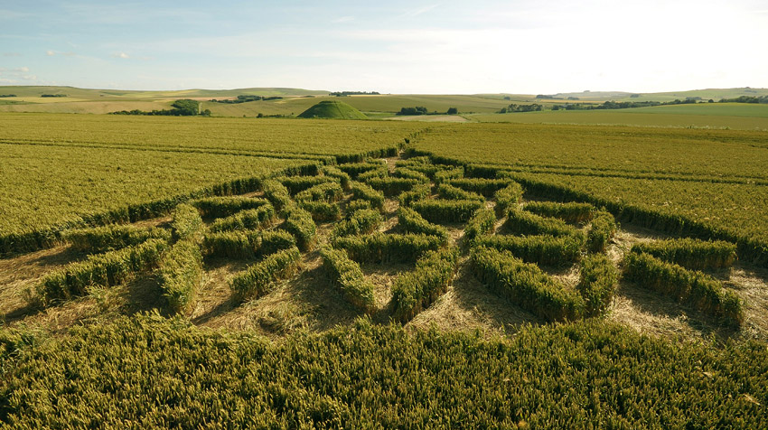 Waden Hill, Wiltshire crop circle, aerial photo 54