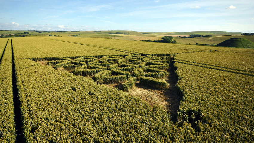 Waden Hill, Wiltshire crop circle, aerial photo 53