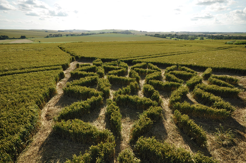 Waden Hill, Wiltshire crop circle, aerial photo 52