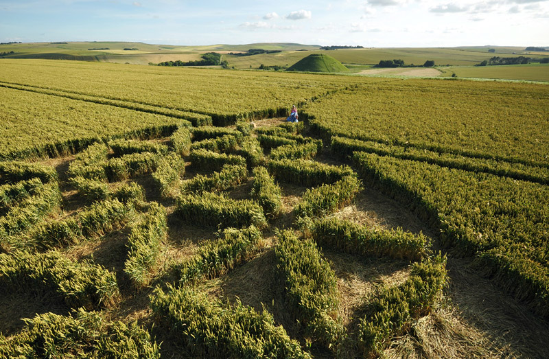 Waden Hill, Wiltshire crop circle, aerial photo 56