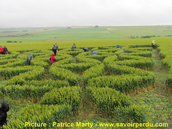 Waden Hill, Wiltshire crop circle, aerial photo 43