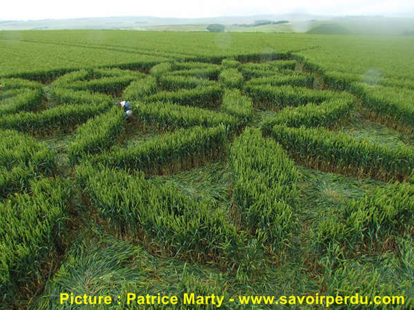 Waden Hill, Wiltshire crop circle, aerial photo 44