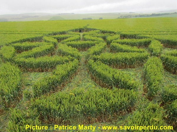 Waden Hill, Wiltshire crop circle, aerial photo 42