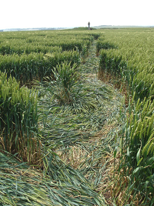 Waden Hill, Wiltshire crop circle, aerial photo 40