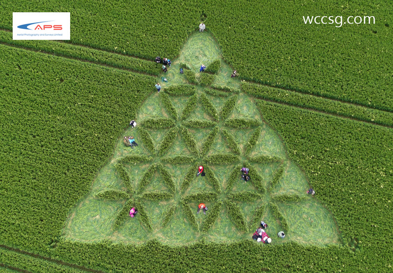 Waden Hill, Wiltshire crop circle, aerial photo 7