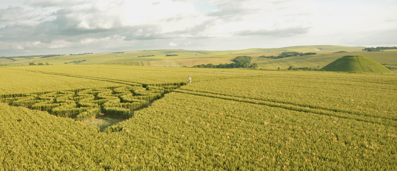 Waden Hill, Wiltshire crop circle, aerial photo 29