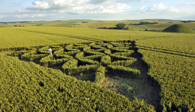 Waden Hill, Wiltshire crop circle, aerial photo 30