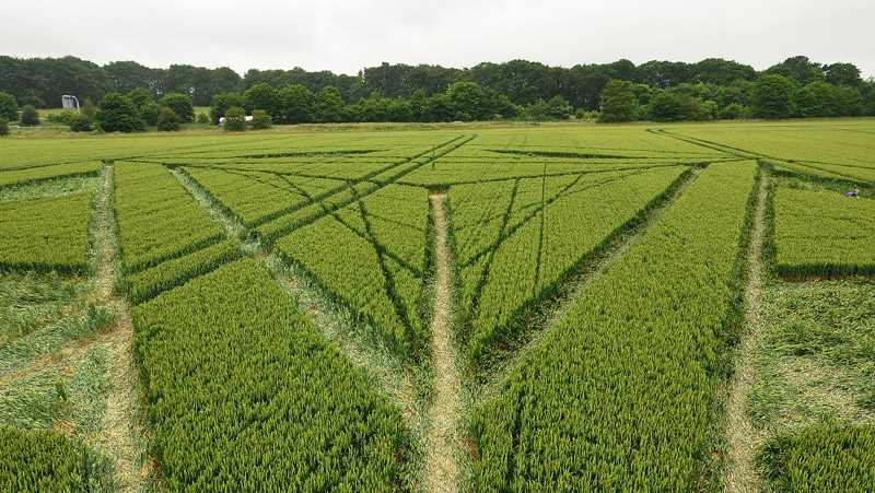 Wanborough Plain, Wiltshire crop circle, aerial photo 51