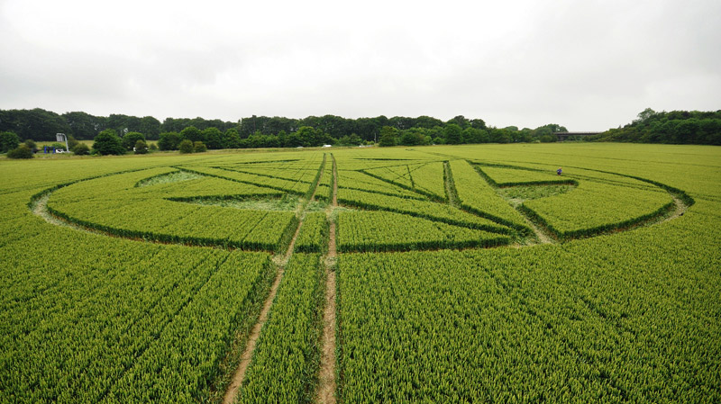 Wanborough Plain, Wiltshire crop circle, aerial photo 48