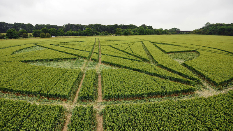 Wanborough Plain, Wiltshire crop circle, aerial photo 49