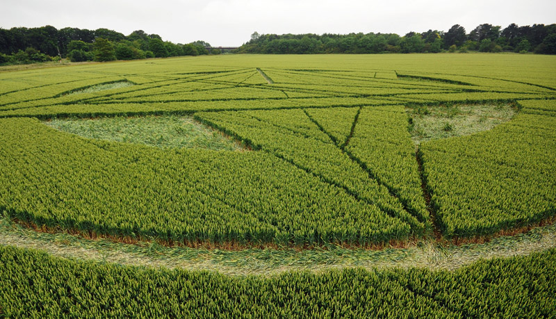 Wanborough Plain, Wiltshire crop circle, aerial photo 50