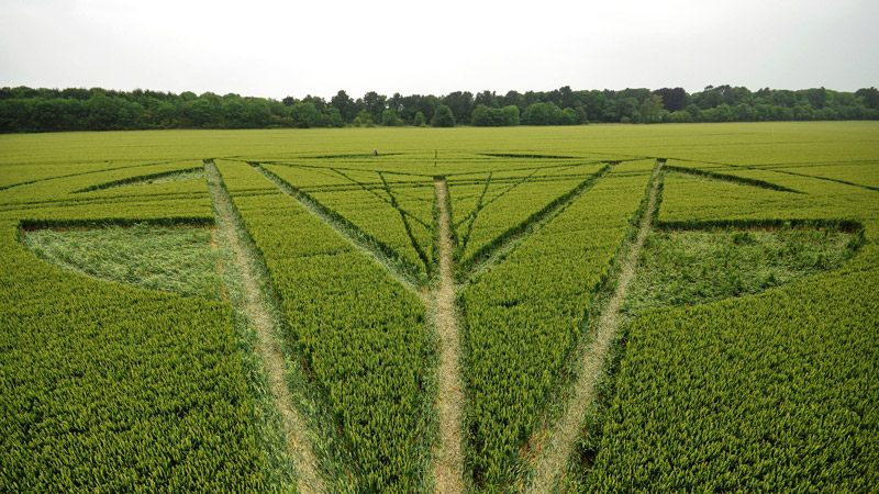 Wanborough Plain, Wiltshire crop circle, aerial photo 52
