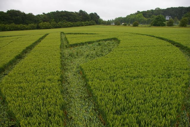 Wanborough Plain, Wiltshire crop circle, aerial photo 64