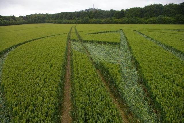 Wanborough Plain, Wiltshire crop circle, aerial photo 66