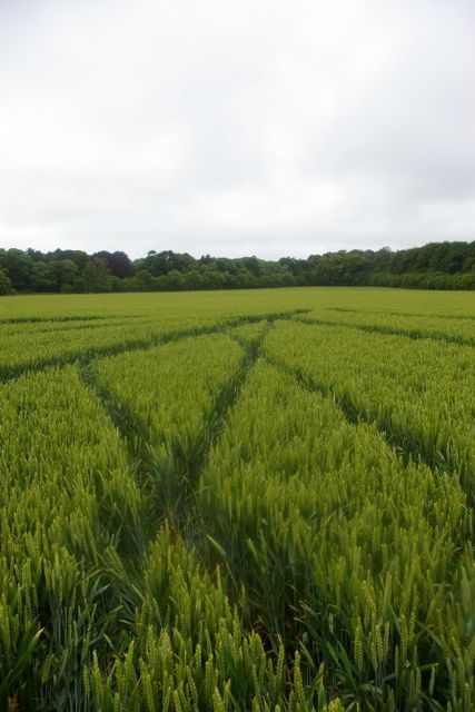 Wanborough Plain, Wiltshire crop circle, aerial photo 69